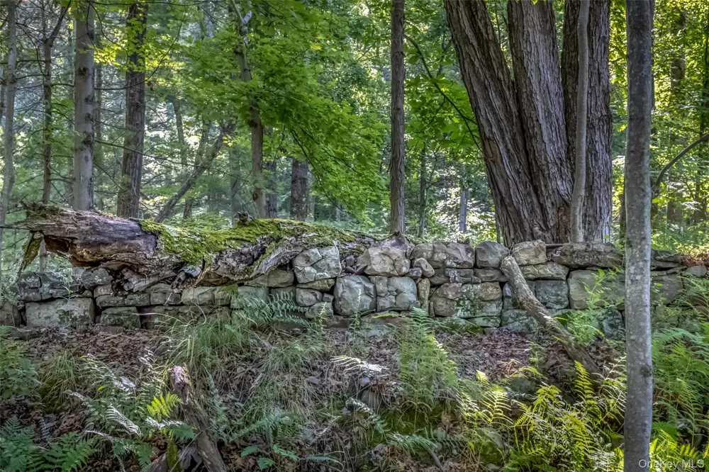 Old Plank Road Cragsmoor, NY 12420