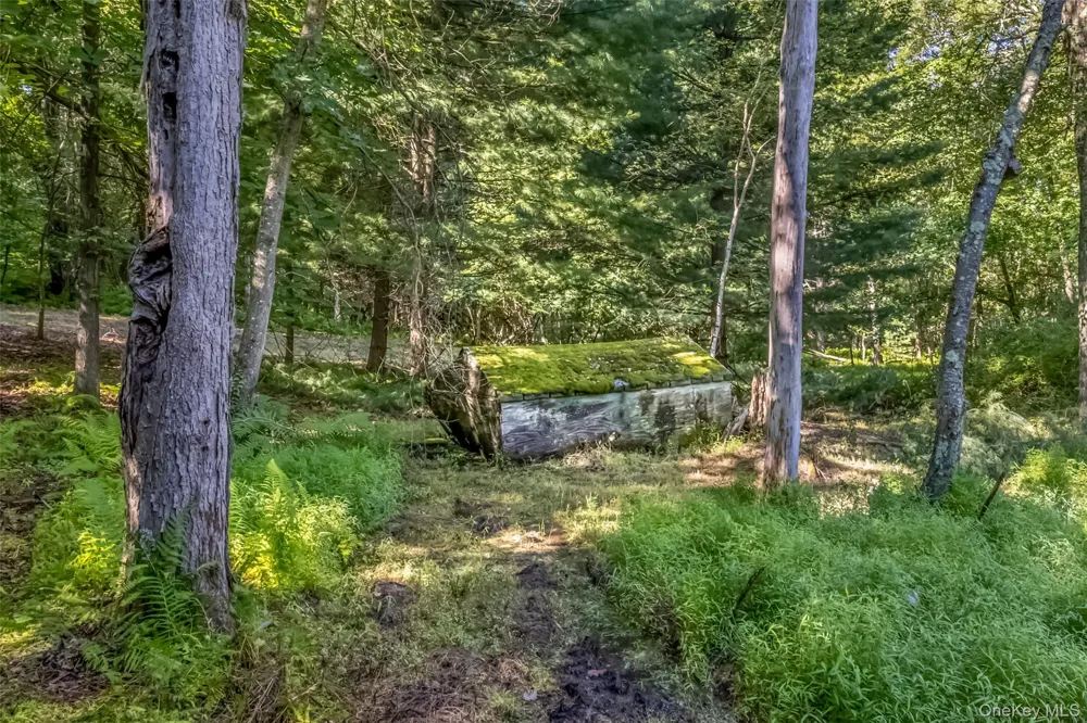 Old Plank Road Cragsmoor, NY 12420