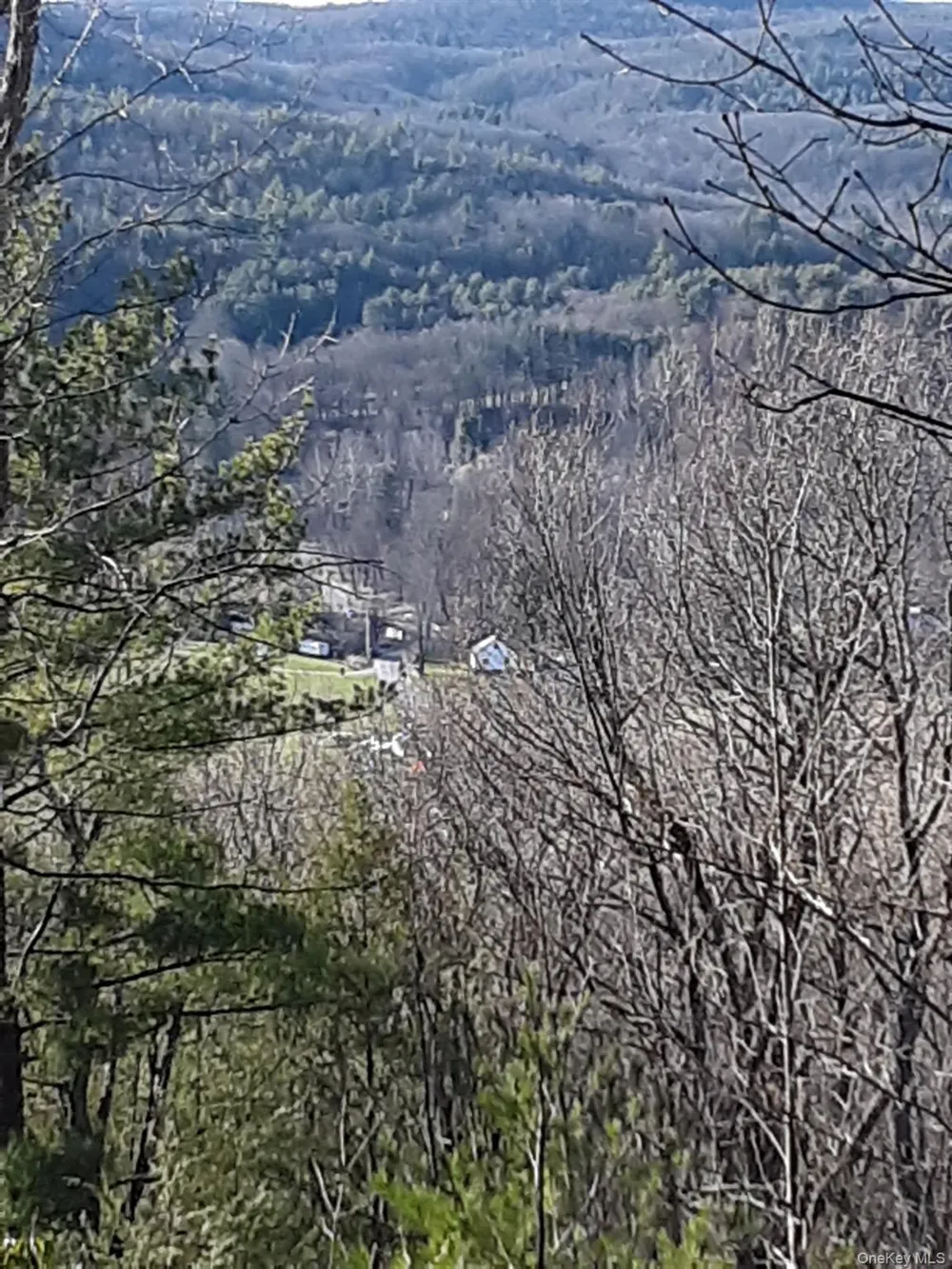 Old Plank Road Cragsmoor, NY 12420
