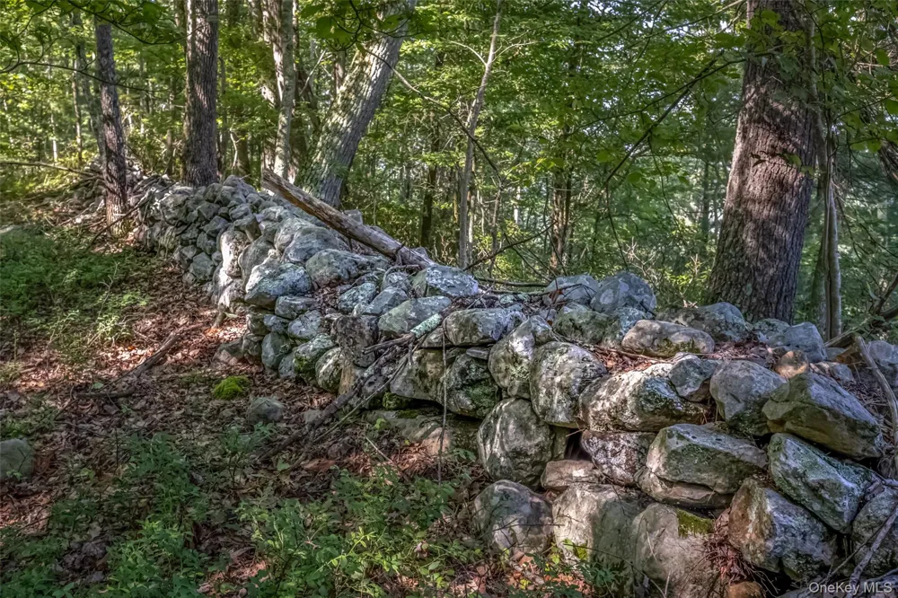 Old Plank Road Cragsmoor, NY 12420