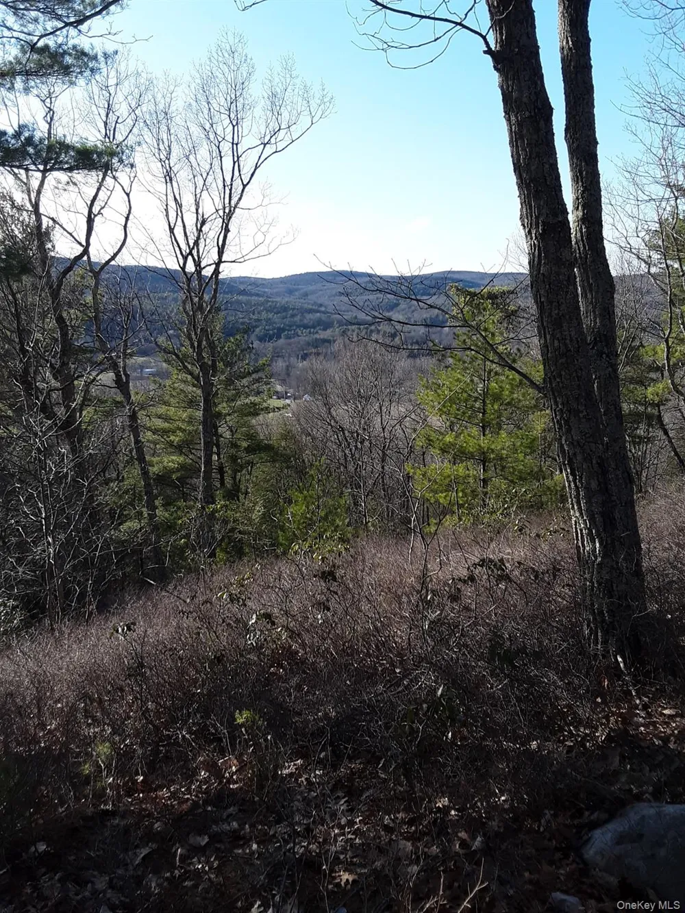 Old Plank Road Cragsmoor, NY 12420