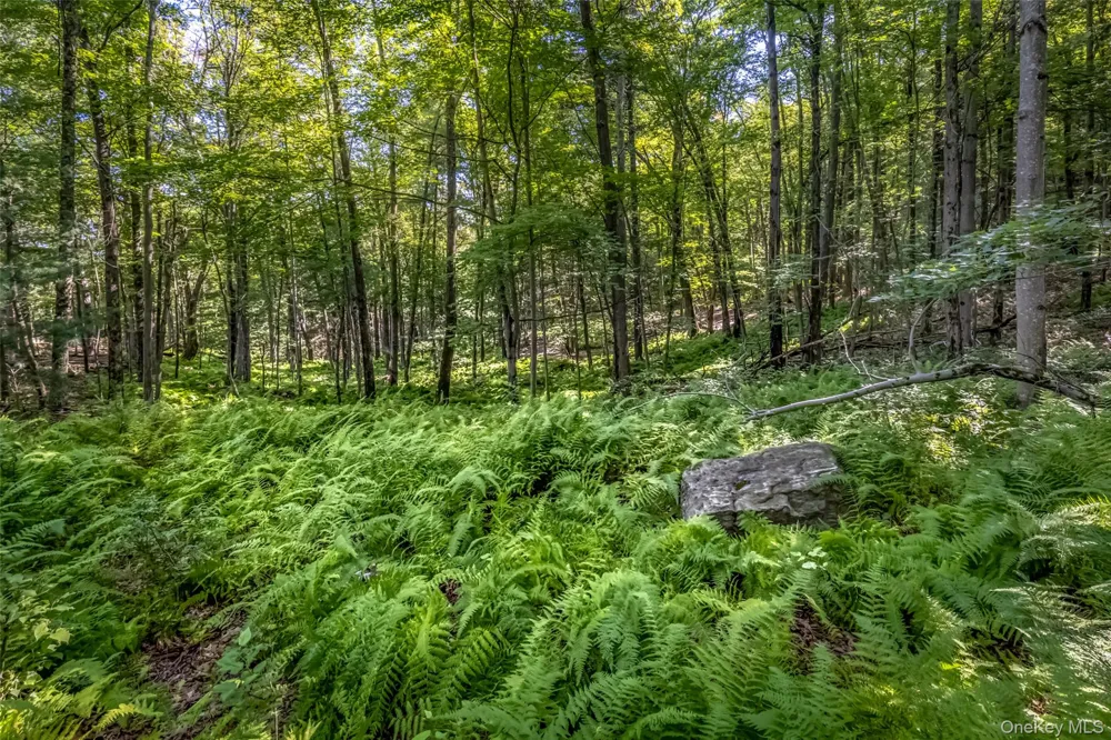 Old Plank Road Cragsmoor, NY 12420