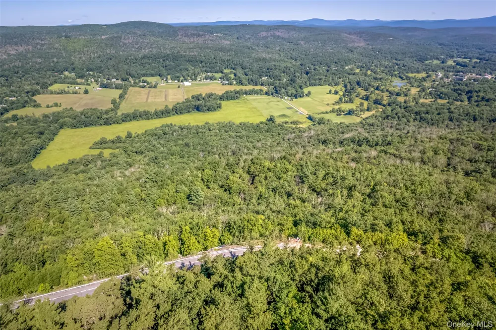 Old Plank Road Cragsmoor, NY 12420