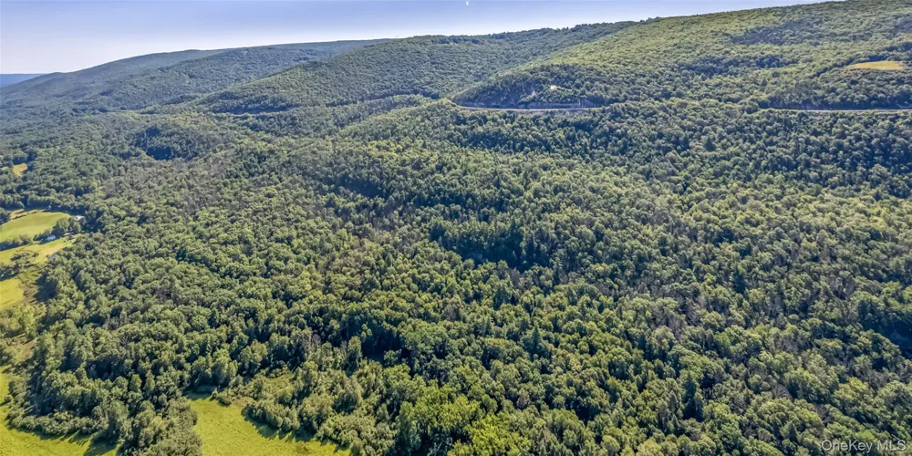 Old Plank Road Cragsmoor, NY 12420
