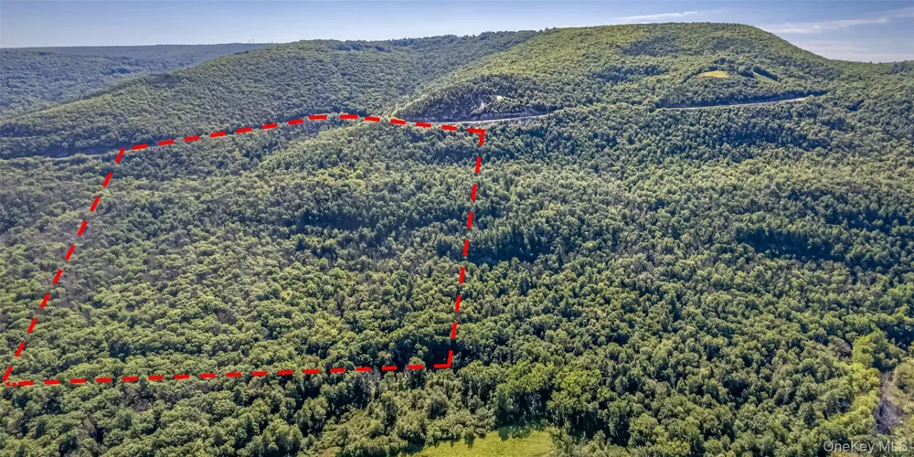 Old Plank Road Cragsmoor, NY 12420