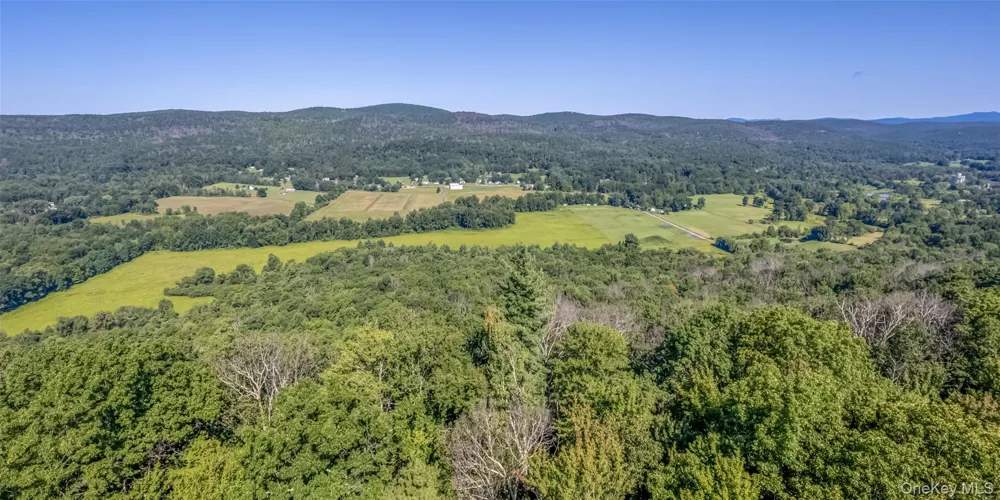 Old Plank Road Cragsmoor, NY 12420