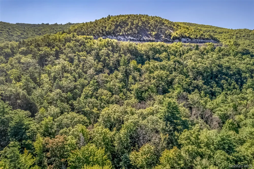 Old Plank Road Cragsmoor, NY 12420