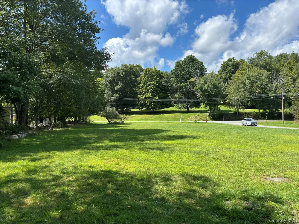 13 park Lane Fallsburg, NY 12763