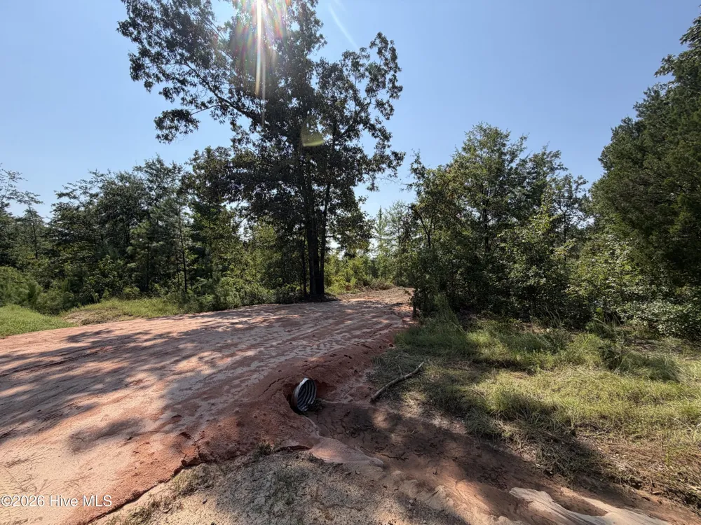0 Poole Melton Road Blythe, GA 30805