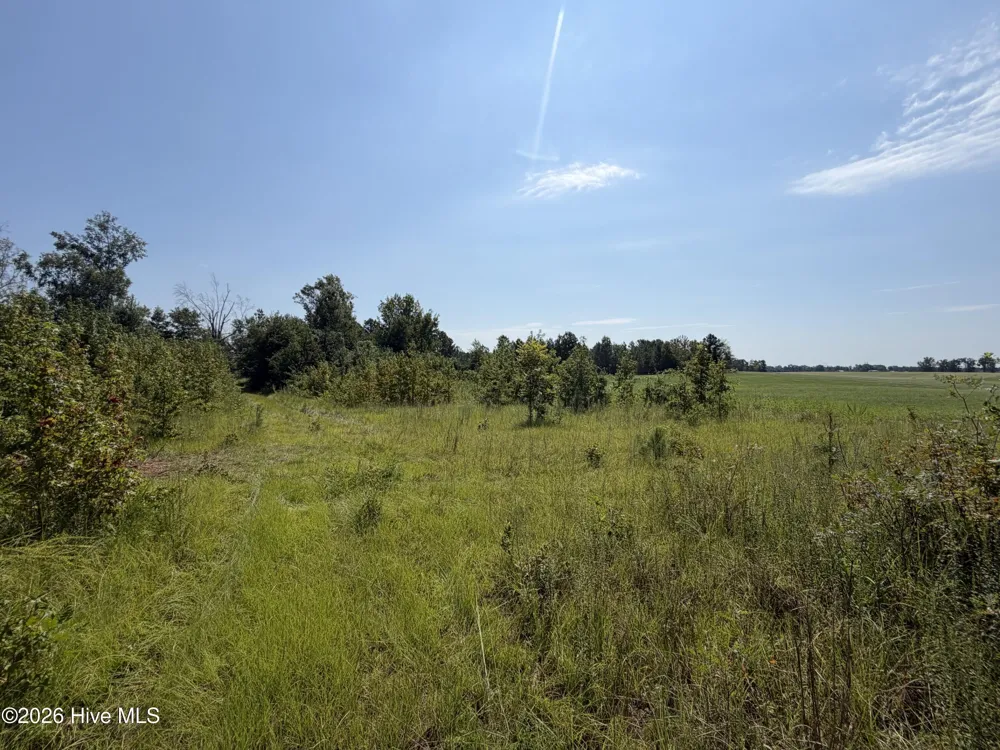 0 Poole Melton Road Blythe, GA 30805