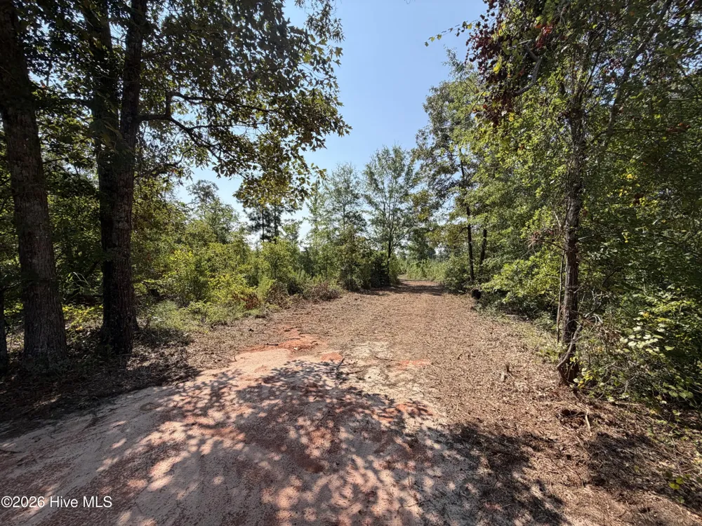 0 Poole Melton Road Blythe, GA 30805