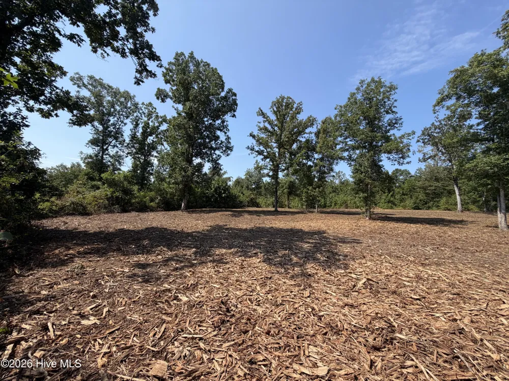 0 Poole Melton Road Blythe, GA 30805
