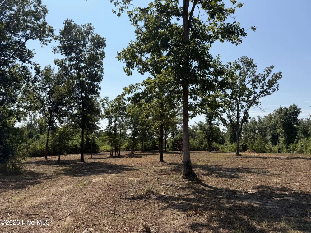 0 Poole Melton Road Blythe, GA 30805
