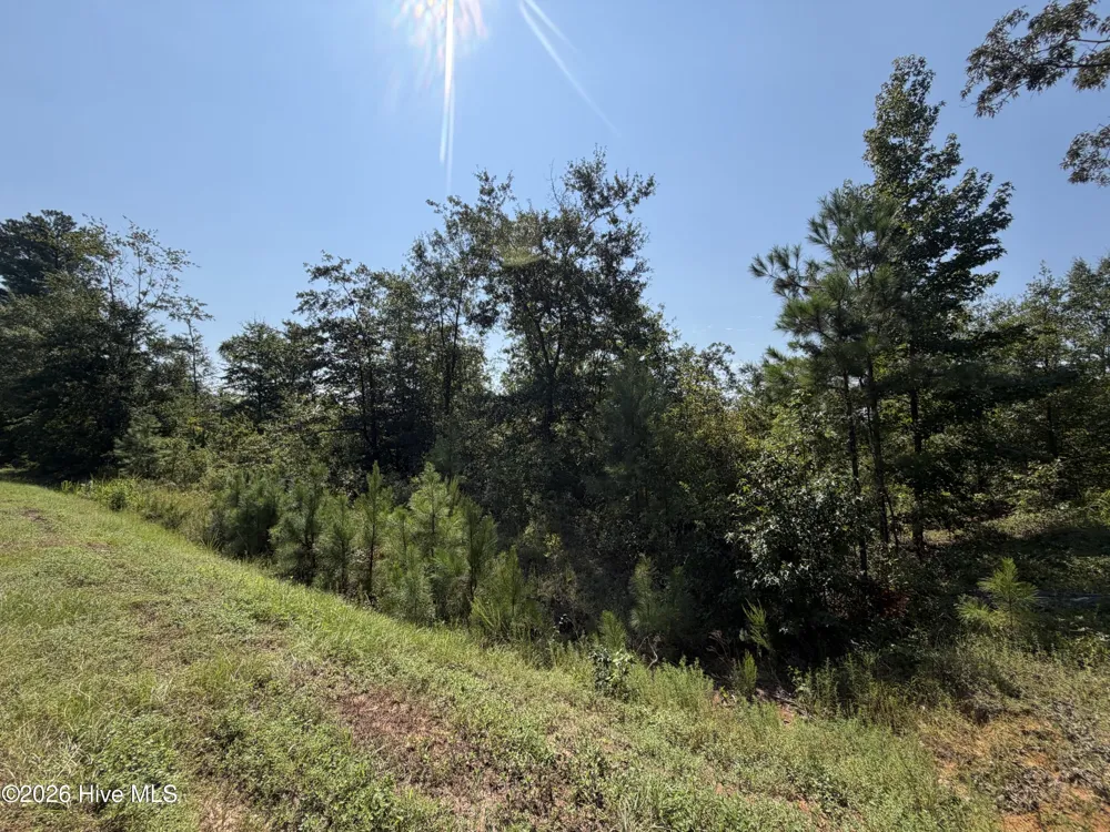 0 Poole Melton Road Blythe, GA 30805