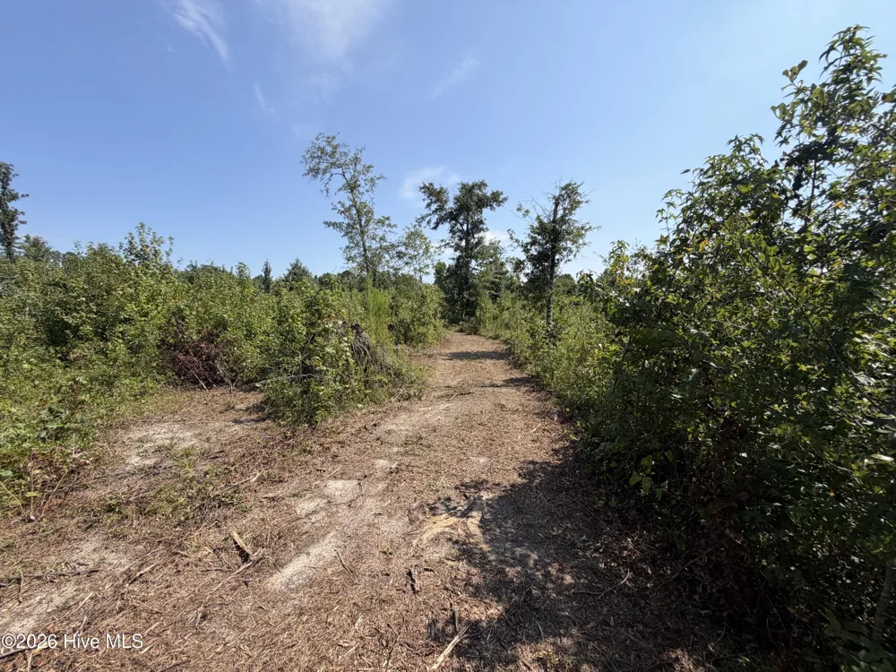 0 Poole Melton Road Blythe, GA 30805