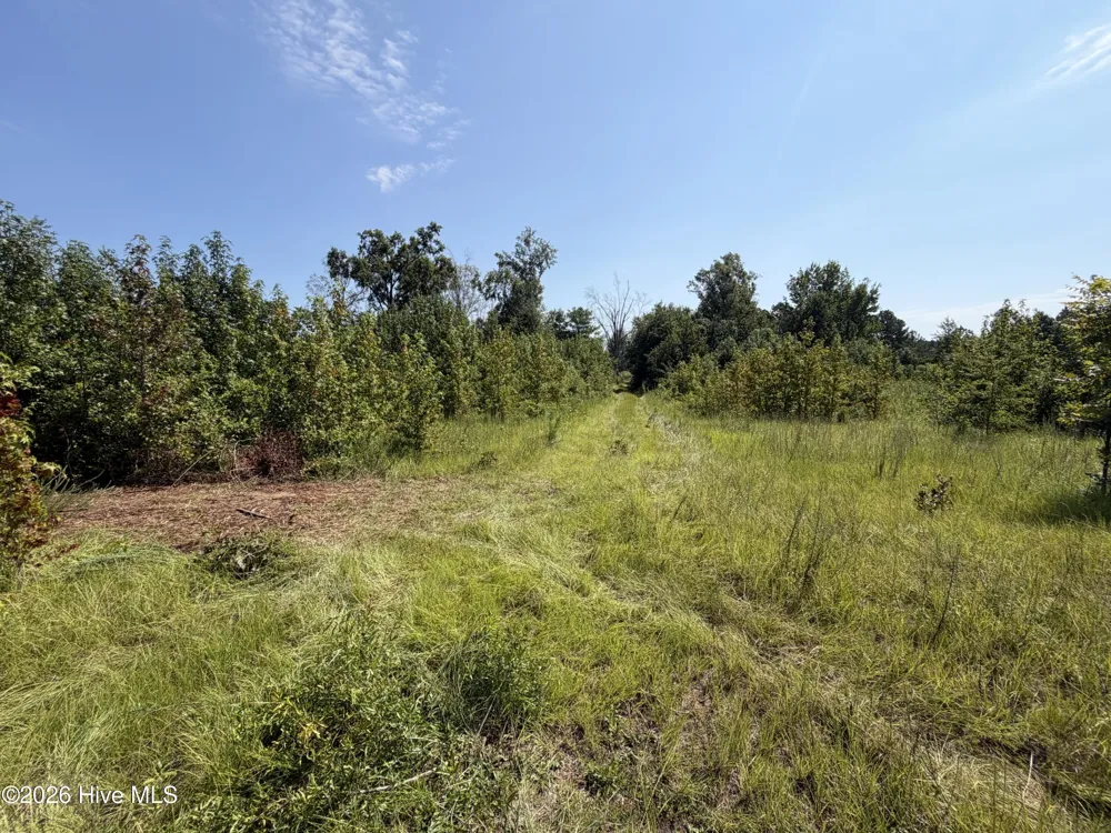 0 Poole Melton Road Blythe, GA 30805