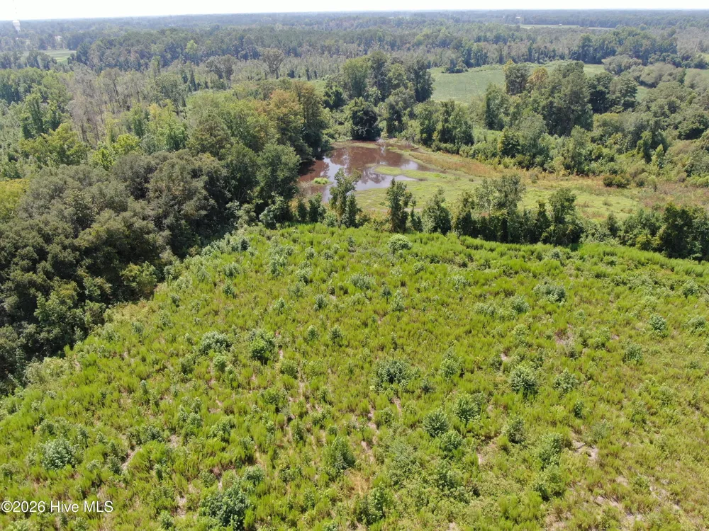 Tbd Chicken Road Fairmont, NC 28340