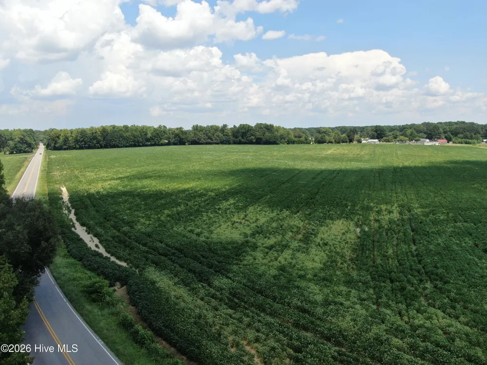 Tbd Chicken Road Fairmont, NC 28340