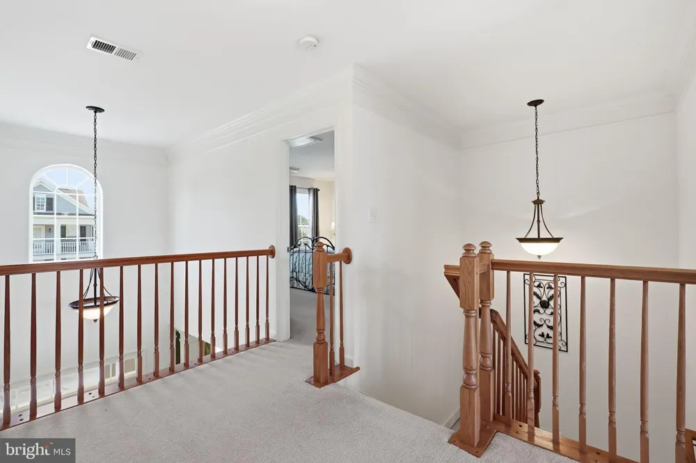 16246 JOHN ROWLAND TRAIL Milton, DE 19968