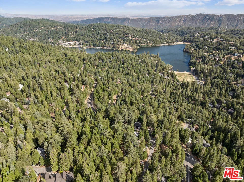 24612 Bernard Drive Crestline, CA 92325