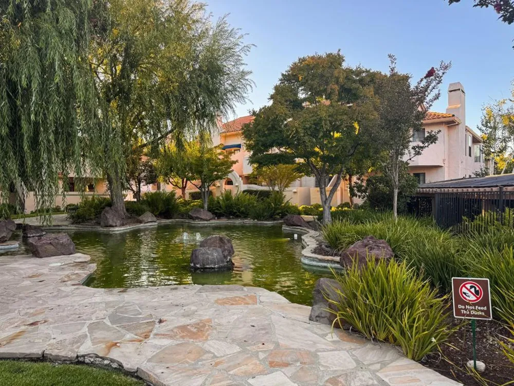 10199 Danube Drive Cupertino, CA 95014