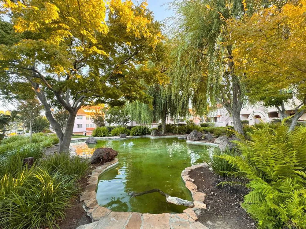 10199 Danube Drive Cupertino, CA 95014