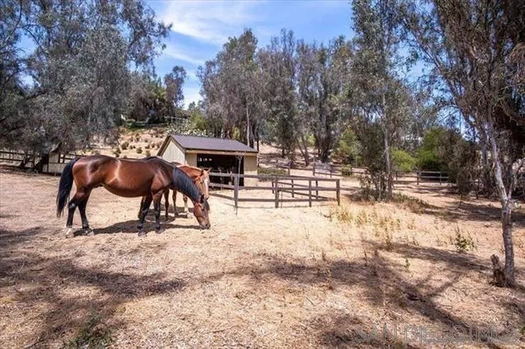 4905 EL ARCO IRIS Rancho Santa Fe, CA 92067