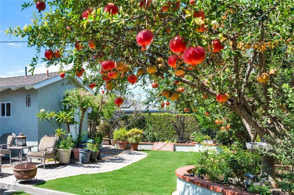 2543 E Coolidge Orange, CA 92867