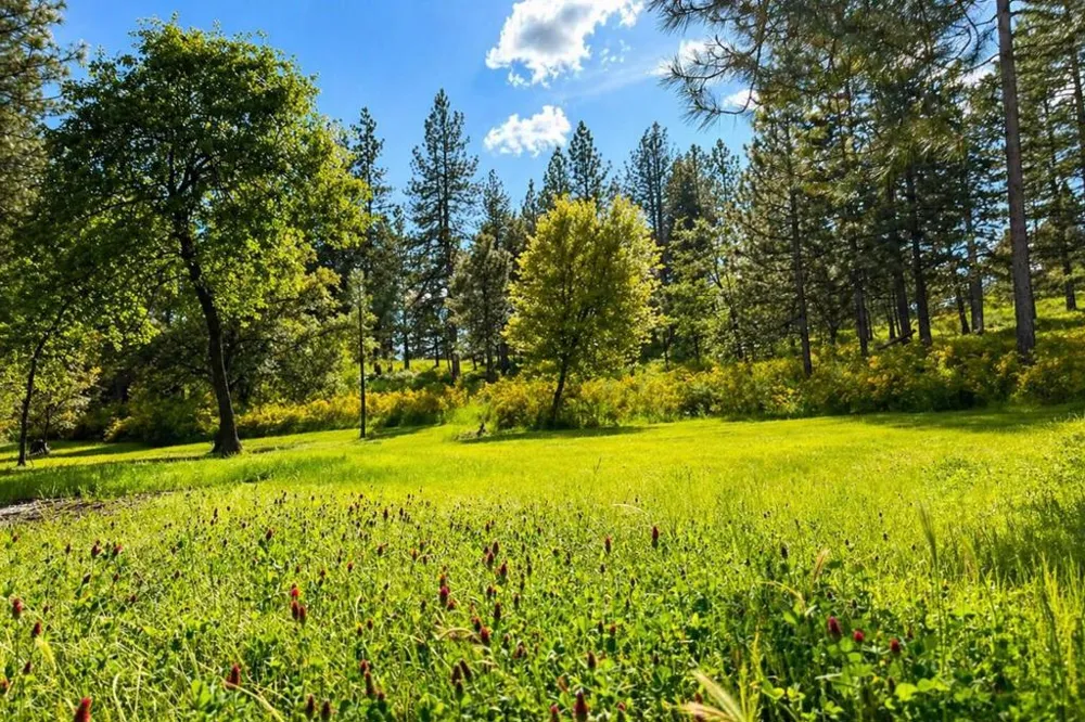 24275 Grand View Avenue Colfax, CA 95713