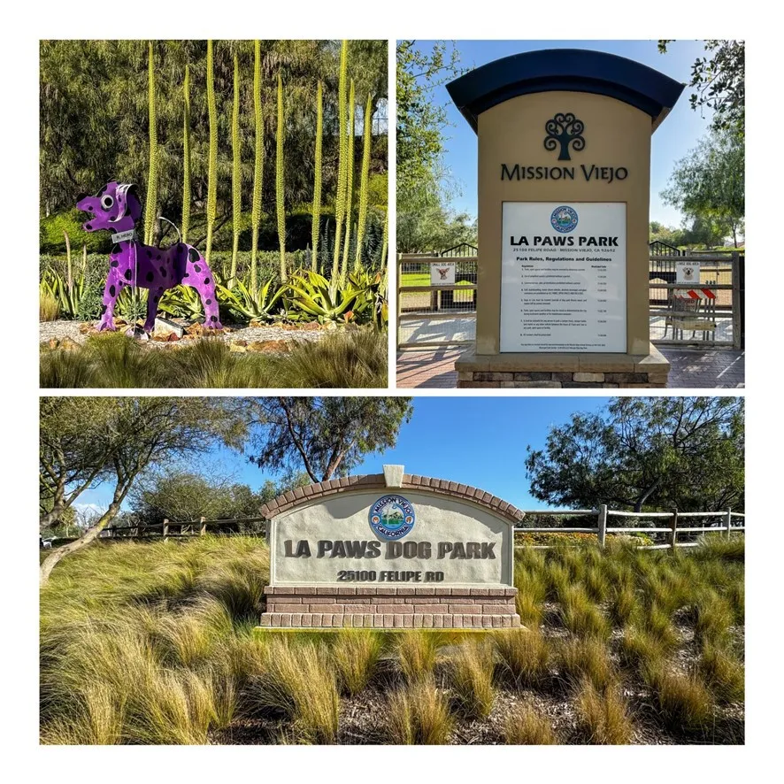 22484 Petra Mission Viejo, CA 92692