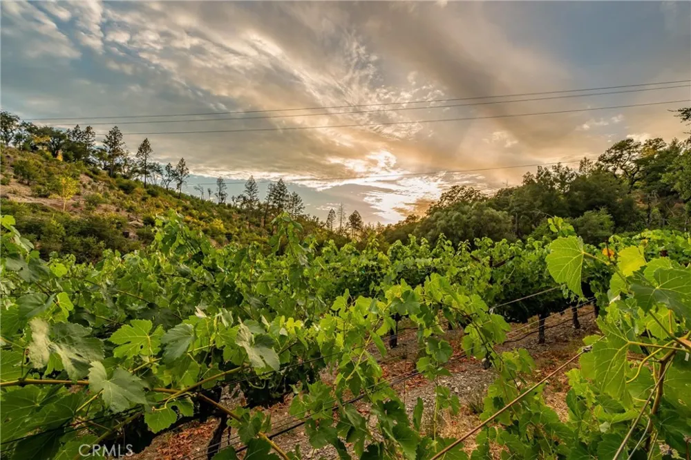 3588 Silverado St Helena, CA 94574