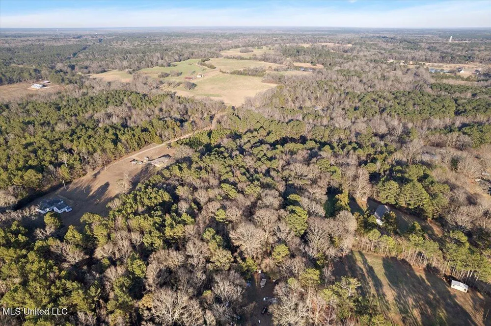 00 Sharon Road Canton, MS 39046