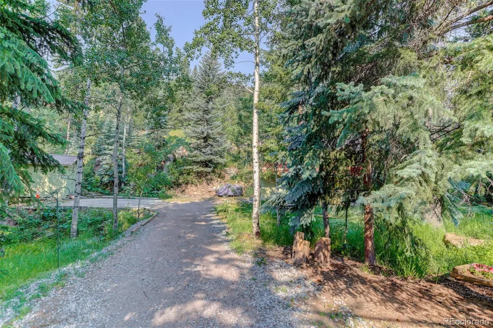 7361 Brook Forest Drive Evergreen, CO 80439