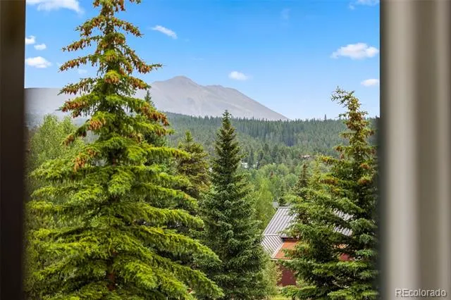 301 French Street #303 Breckenridge, CO 80424