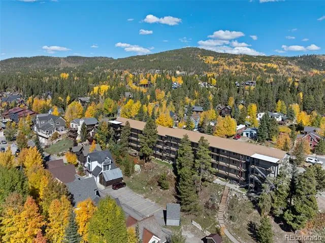 301 French Street #303 Breckenridge, CO 80424