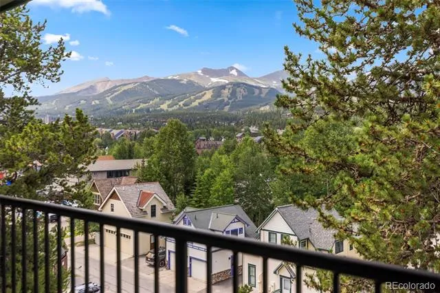 301 French Street #303 Breckenridge, CO 80424