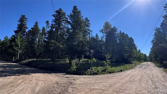 81 High Country Lane Black Hawk, CO 80422