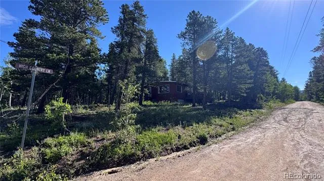 81 High Country Lane Black Hawk, CO 80422