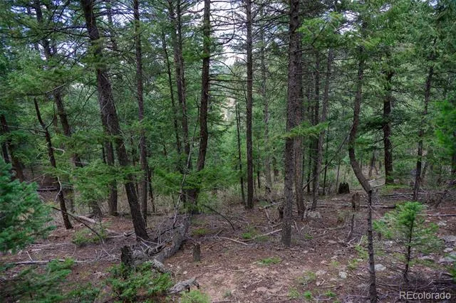 Fern Gulch Lot 14 Road Evergreen, CO 80439