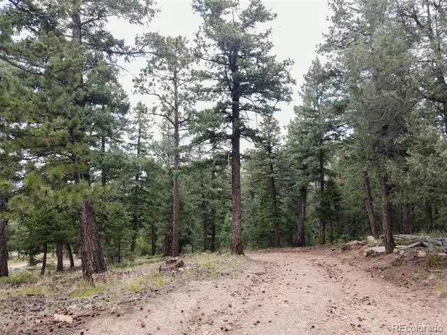 Fern Gulch Lot 14 Road Evergreen, CO 80439