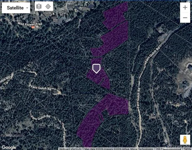 Fern Gulch Lot 14 Road Evergreen, CO 80439