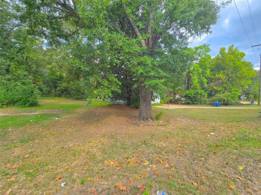 1105 Sibley Road Minden, LA 71055
