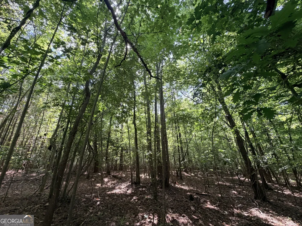 8 Bunch RD Tignall, GA 30668