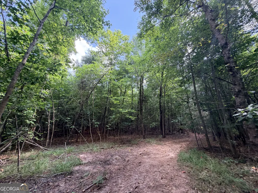 8 Bunch RD Tignall, GA 30668