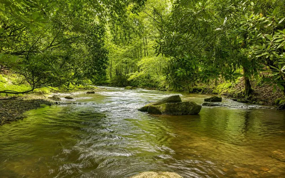 3149 Big Creek Road Cherry Log, GA 30522