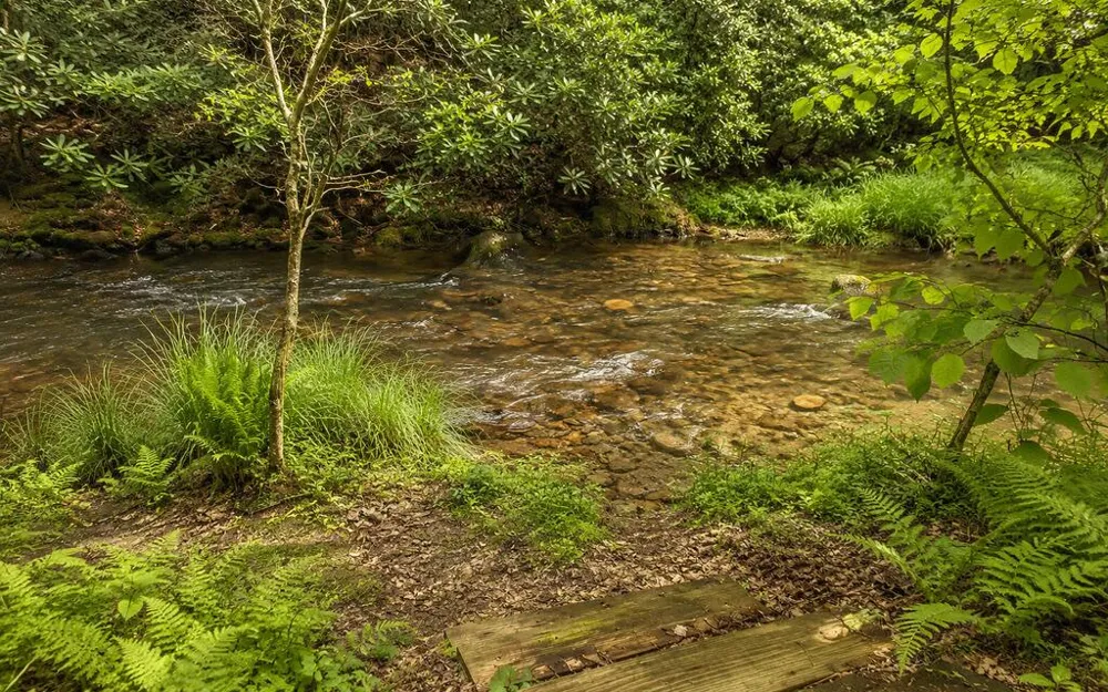 3149 Big Creek Road Cherry Log, GA 30522