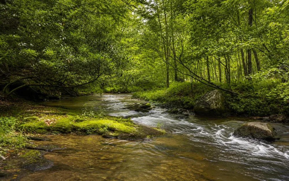3149 Big Creek Road Cherry Log, GA 30522