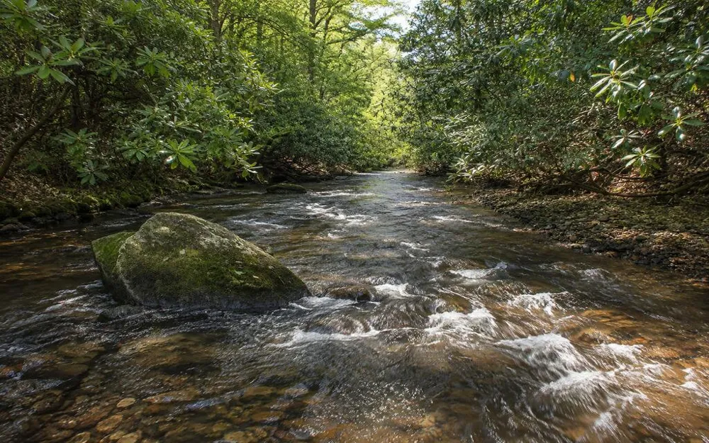 3149 Big Creek Road Cherry Log, GA 30522