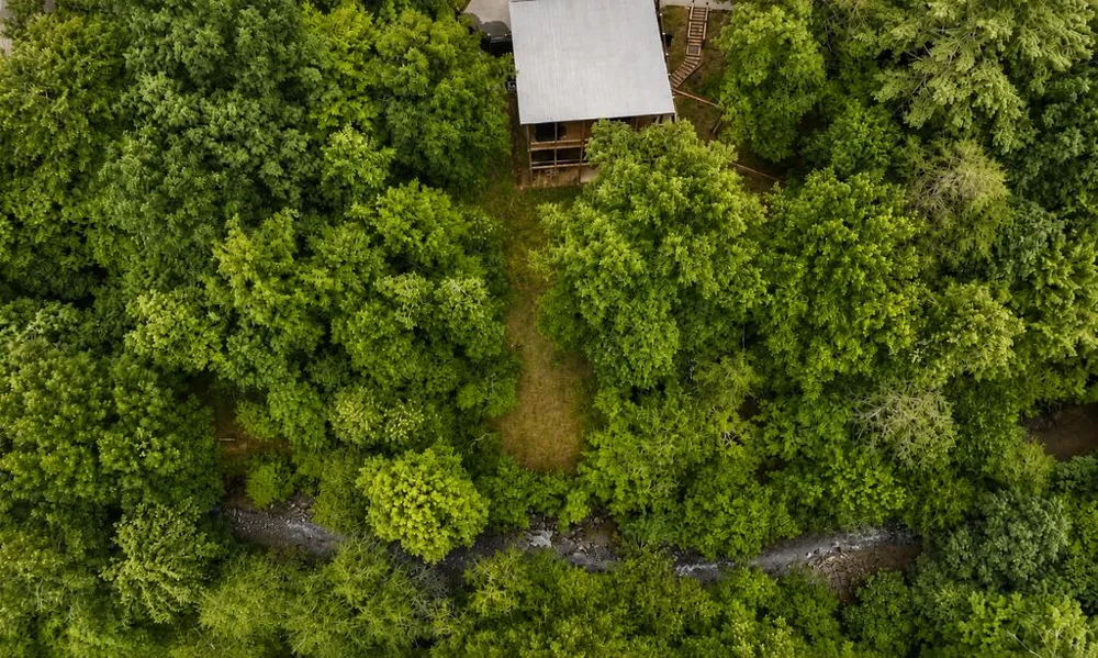 3149 Big Creek Road Cherry Log, GA 30522