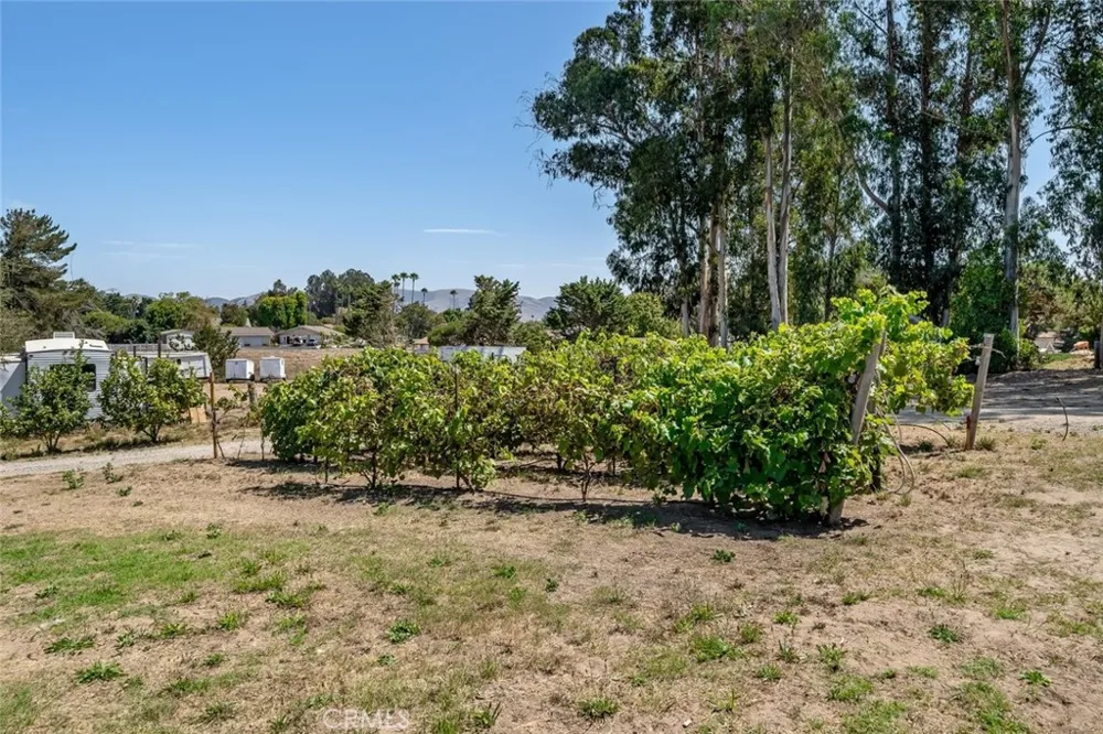 1497 La Quinta Drive Nipomo, CA 93444